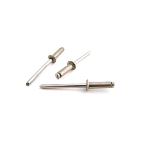 RIVETTO INOX C/A 250 PZ