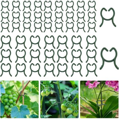 200 clips de support pour plantes, deux tailles, clips de support réutilisables pour plantes grimpantes, légumes et fruits. (1/5)