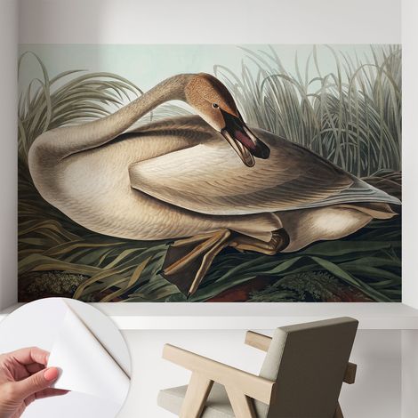 Papier peint adhésif autocollant pour salon chambre à coucher peint imprimé Installation facile Oiseau naturel 104x70 cm (1/5)