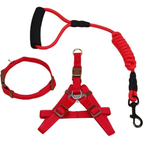 Filiyano-Laisse en nylon pour chiens et chats (1/5)