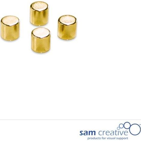 Metallische Magnete 10mm Zylinder gold (4St.) (1/2)