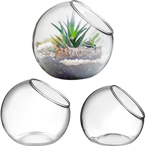 Lot De 3 Vases en Verre Transparent pour Plantes, Terrarium Plante, Vase Rond, Bol en Verre, DéCoration Maison Et Bureau, 8cm+10cm+12cm (1/5)