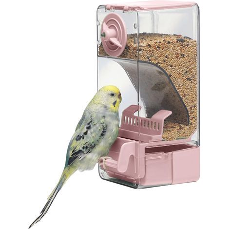 Mangeoire Automatique pour Oiseaux, Mangeoire à Cage à Oiseaux avec Perruche pour Perruche Canari Calopsitte Pinson (1/5)