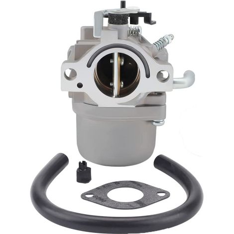 DOLASO Vergaser für Briggs und Stratton Rasenmäher 590399 796077 (1/5)