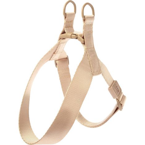 BE - petto 38-40 cm / torace 38-54 cm: