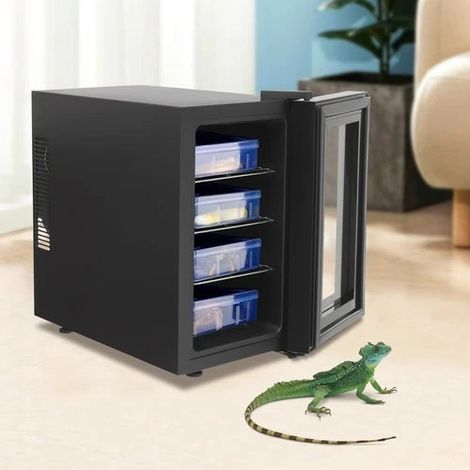 Incubateur d'œufs de Reptiles avec contrôleur Automatique de 50 à 104 °F, réglage de la température pour Tortue, lézard, Gecko, Incubation de Reptiles avec Porte en Verre (23 L)
