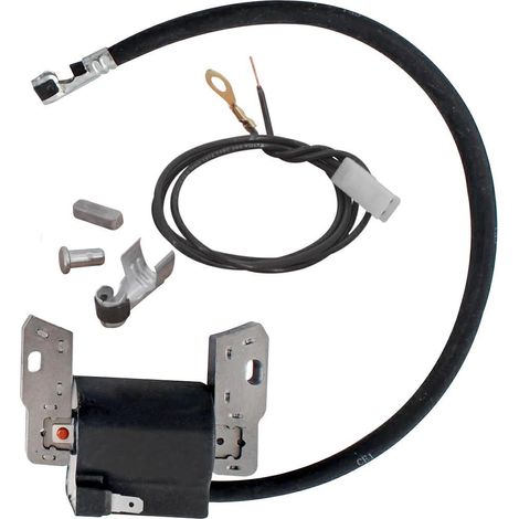Brigg & Stratton Bobina elettronica vecchi motori 3 3,5 4 HP (1/3)