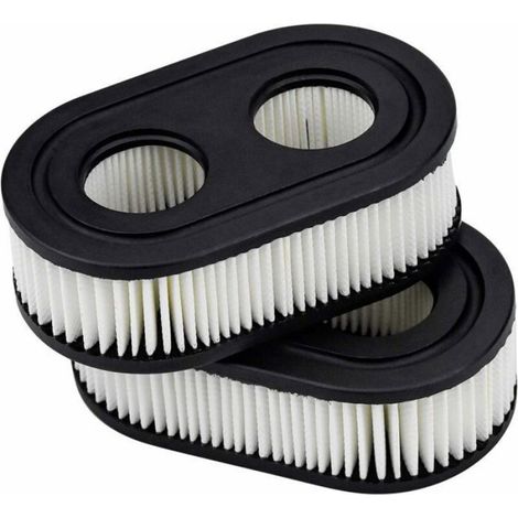 Filtre À Air - Pour Tondeuse À Gazon Briggs Stratton 550E 550EX 575EX - 112 X 63 X 34 Mm - Lot De 2 (1/4)