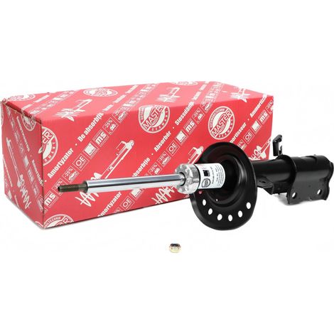 AMMORTIZZATORE POSTERIORE NISSAN QASHQAI (J10, NJ10, JJ10E) (1/5)