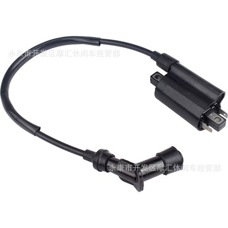 Passend für Yamaha YP250 Majesty MBK Mongoose MXU250 Hochspannungszündspule (1/5)