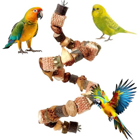 Perchoirs pour oiseaux, accessoires pour cages à oiseaux, jouets pour perruches ondulées, accessoires pour perruches ondulées, accessoires pour calopsittes, renfort en fil de fer flexible pour perroqu (1/5)