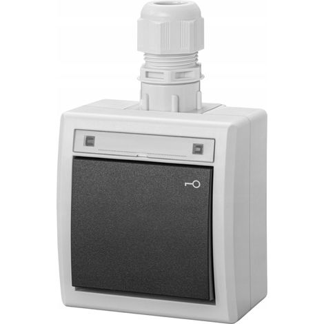 Interruttore Aquant 2K per montaggio superficiale, normalmente aperto, a chiave, IP65, grigio 5007-65 (1/3)