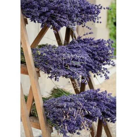 Art for the Home Outdoor Leinwandbild Garten Wanddeko - Lavendel - 70x50cm