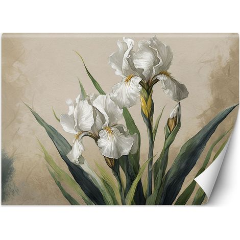 Fototapete Weiße Blumen 100x70 cm (1/5)