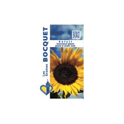 Soleil tournesol géant jaune cœur noir – Plante annuelle 80 cm à 2 m – Semis d'avril à juin – Exposition chaude et ensoleillée – Graines Bocquet