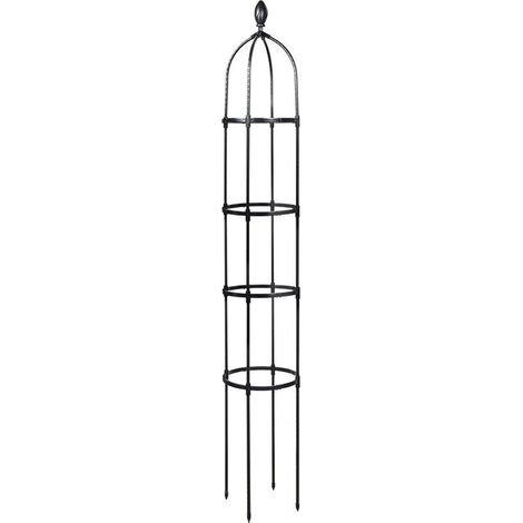 Arche de Jardin Résistante pour Plantes Grimpantes, Support Extérieur en Métal (1/5)