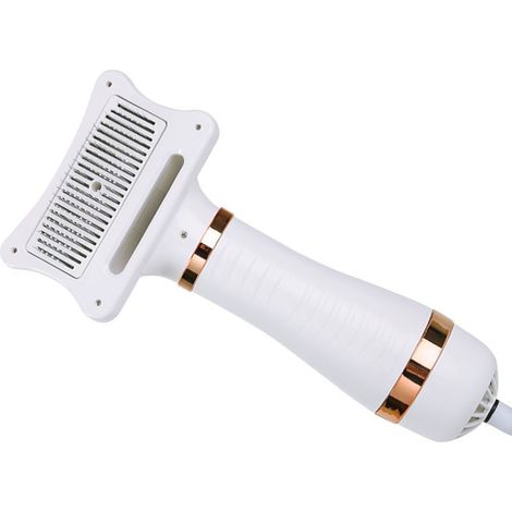 Sèche-cheveux 2 en 1 pour chiens avec brosse lissante, 300 W, température réglable, pour le toilettage des petits chiens et chats, prise australienne dorée (1/5)
