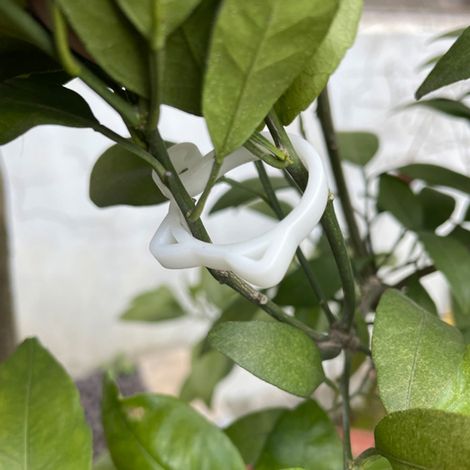Pflanzenclips Katzenförmige Gartenclips für Tomaten und andere Kletterpflanzen Rankhilfen für Klettergemüse für aufrechtes und gesünderes Wachstum (1/5)