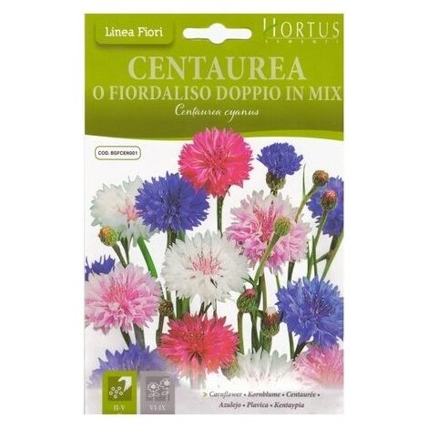 Centaurea und Fiordaliso doppio Mix, blühend in Blau und Violett
