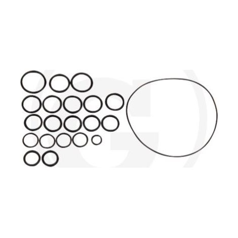 O-Ring-Satz für Membranpumpe AR202 SP/RVI ANNOVI 6702409