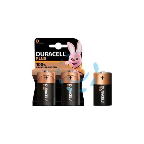 PILA TORCIA ALCALINA PLUS 100 (D)