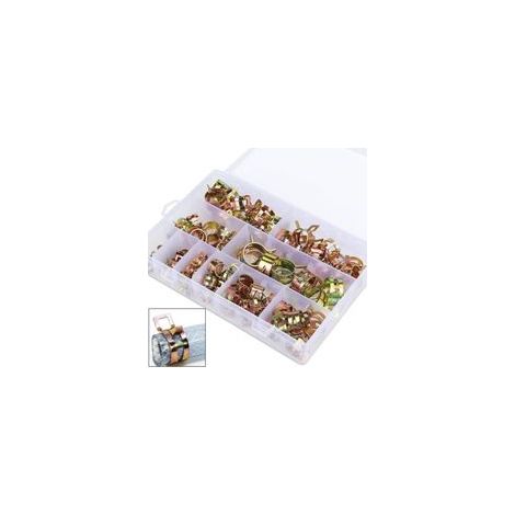 Colliers de serrage à ressort pour tuyaux et tubes, 100 pièces, colliers de serrage à ressort pour tuyaux de carburant, tuyaux et tubes à air (6-22 mm, 10 tailles) (1/3)