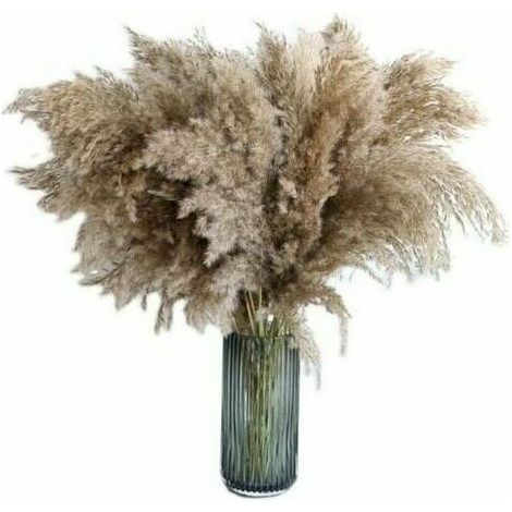 20pcs 60cm pampas grass naturally dried wedding fashion bouquet artificial flowers for home decor indoor vases