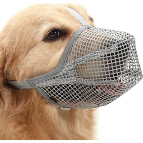 Museliere pour Chiens, Museliere pour Chiens Petit Respirant pour Chien Réglable, Respirante, avec bretelles réglables, empêche de Manger, de Mordre et de AboieMent, pour Moyens et Grands (1/5)