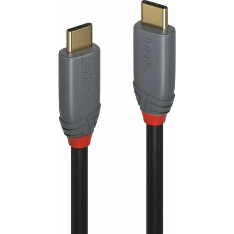 Lindy 36903 USB C Kabel 2 Meter schwarz