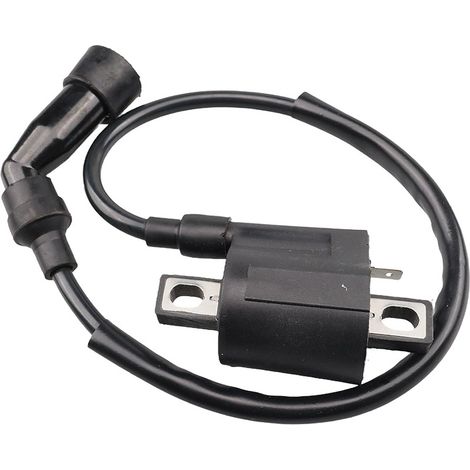 Bobine d'allumage – Pour POLARIS MAGNUM 325 / ATP 330 – Réf. 3084690 / 3086484 (1/5)