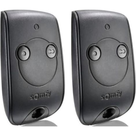 1841026 - Télécommande Keytis RTS 2 canaux pour contrôler 2 Moteurs RTS de portails et Portes de Garage (Lot de 2)