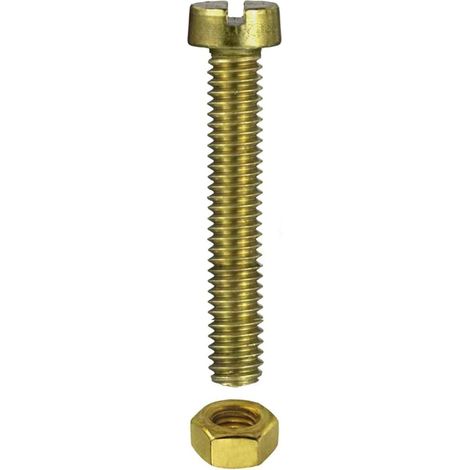 4 PEZZI - VITE METRICA IN OTTONE CON TESTA CILINDRICA + DADO 6X20MM
