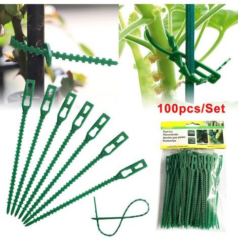 Adjustable tree ties, 100 pieces, flexible cable for supporting rose bushes and shrubs (1/5)
