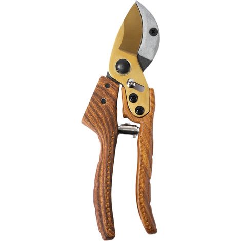 Sécateur, cisaille de jardin, pour la taille des branches d'arbres fruitiers, convient pour les jardins et les travaux domestiques. Durable, facile à utiliser et permet des coupes nettes. (1/5)