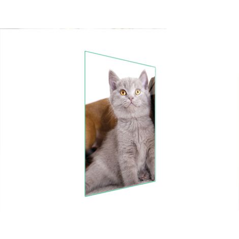 Glasschneidebrett 35x52 Tiere (1/5)