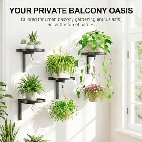 Lot de 2 supports muraux pour plantes - Pour salon et balcon - Noir (1/4)