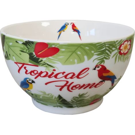 Bol en Porcelaine Tropical 480 ml
