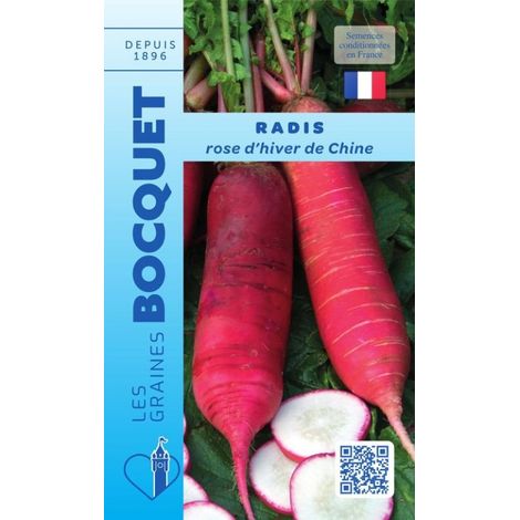 Radis rose d'hiver de Chine - 10g