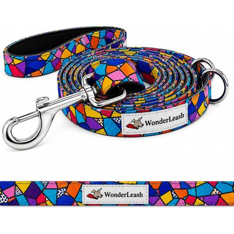 Laisse pour chien 3 en 1, longue et robuste, laisse de dressage avec collier d'urgence, poignée confortable, adaptée aux petits chiens (multicolore, S) (1/5)
