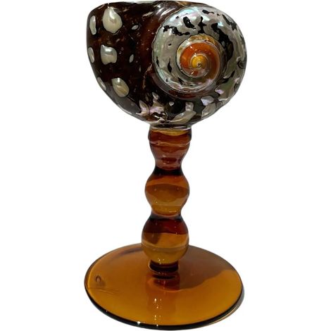 Verre à vin à pied en coquillage naturel, verre artistique en coquillage irrégulier, décoration intérieure.