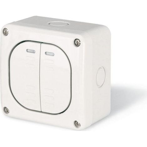 Interruptor doble de superficie, 10AX M95, IP66, gris, PROTECTA