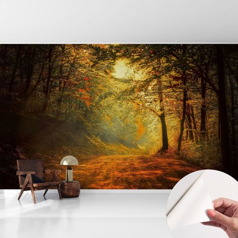 Carta da parati autoadesiva - impermeabile - murale da parete - decorazione murale - Paesaggio autunnale 416x254 cm (1/5)
