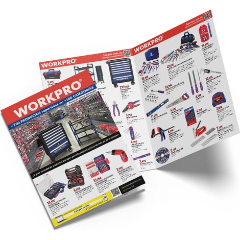 Folleto promocional pvd workpro español