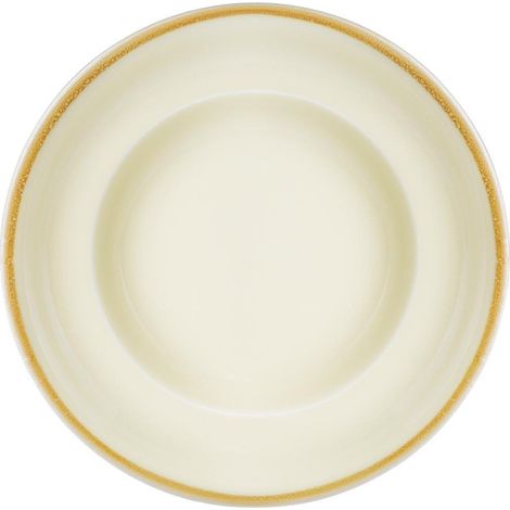 Assiettes À Pâtes Kiln Couleur Sable 250mm (Lot de 4) - Ref DC304 - Olympia (1/5)