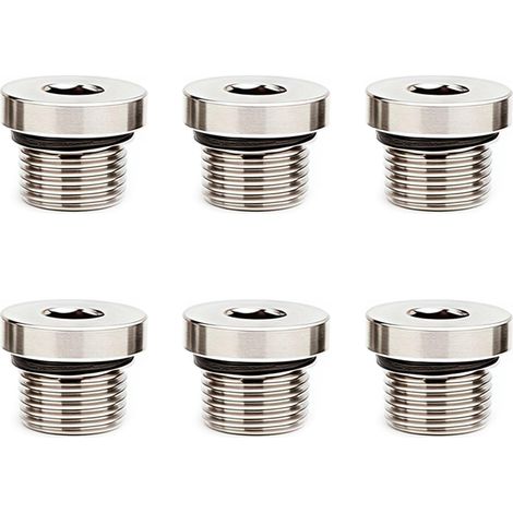 6 PCS 1/4 Pouces Bouchon d'étanchéité en Acier au Carbone, Bouchon de Tuyau d'eau Hexagonal Intérieur, Scellement Efficace pour Pompes à Huile Hydrauliques et Applications Hydraulique (1/5)