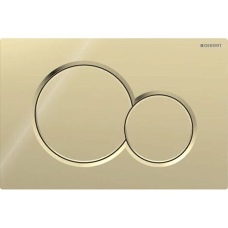 Plaque de déclenchement WC Sigma01 – Double touche – Dimensions 246 x 164 mm – Plastique laiton galvanisé – Compatible Geberit UP320/UP720 (1/5)