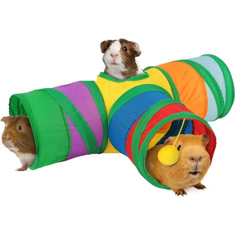 Tunnel pour cobayes, tunnel et tube pliables en 3 directions pour petits animaux de compagnie avec balle interactive pour lapins (1/5)