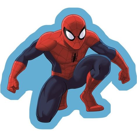 Coussin en Forme de Spider Man (1/2)