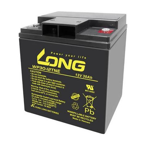 Long WP30-12TNE batterie plomb noir 30 Ah 12 V (1/2)
