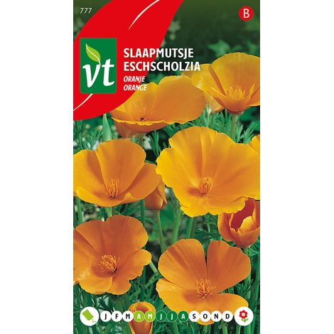 Eschscholtzia Orange - Ca. 1 gr (Livraison Gratuite) (1/2)